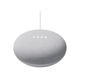 Nest Mini Google Assistant